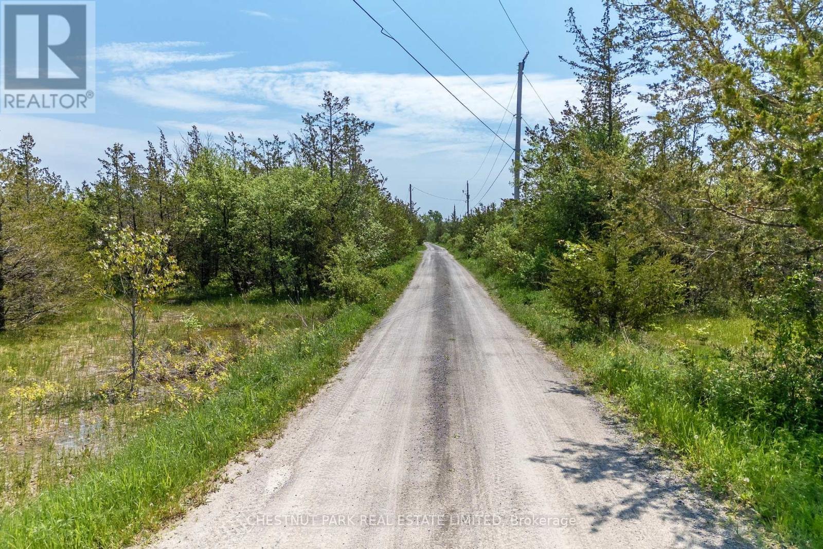 Nt 2451 County Road 15, Prince Edward County, Ontario  K0K 2T0 - Photo 17 - X8399166