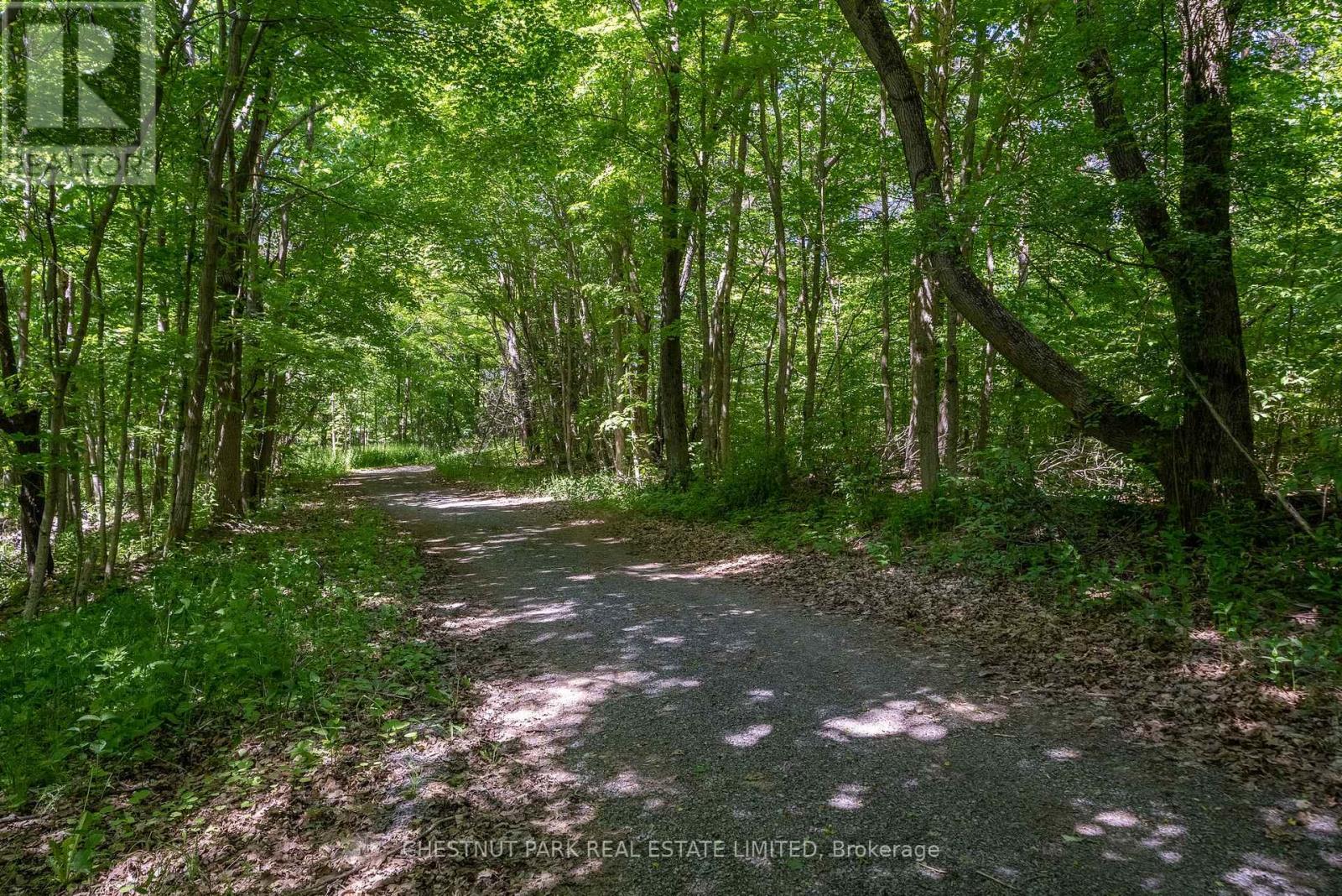 0 Dorenburg Lane, Prince Edward County (North Marysburgh), Ontario  K0K 2T0 - Photo 21 - X9237107